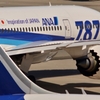 ANA-787