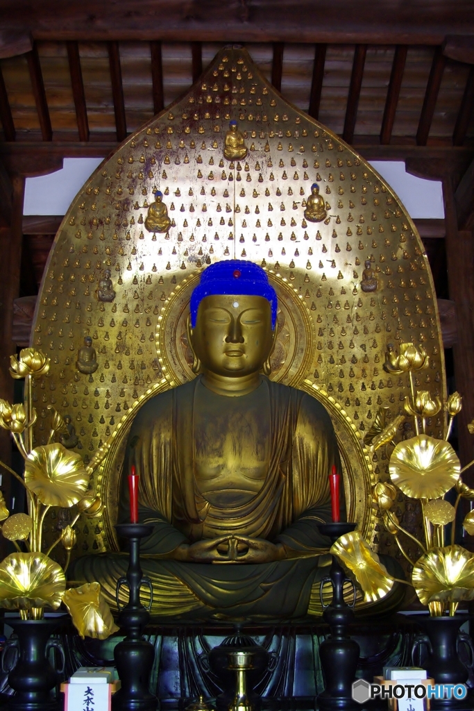 上品上生