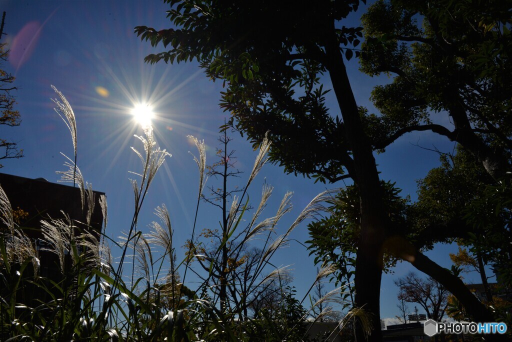 西暦2021年11月27日