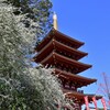 春の・・・その２