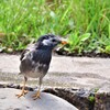 湯上り後に何飲もうかなぁ