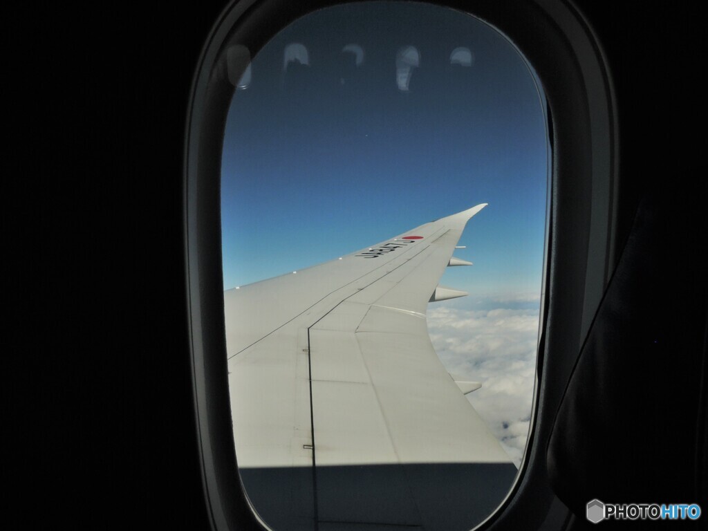 JAL115便・・・巡行中