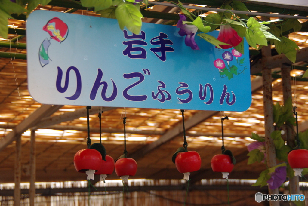 IMGP2075・・・いんとろだくしょん