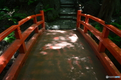 通天橋