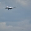  landing (2)