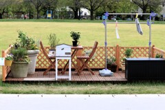Life in the park