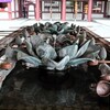 復活した手水舎