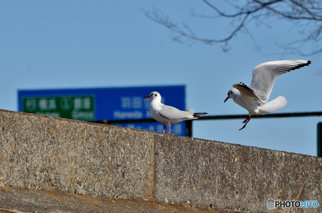 着艦～ん！