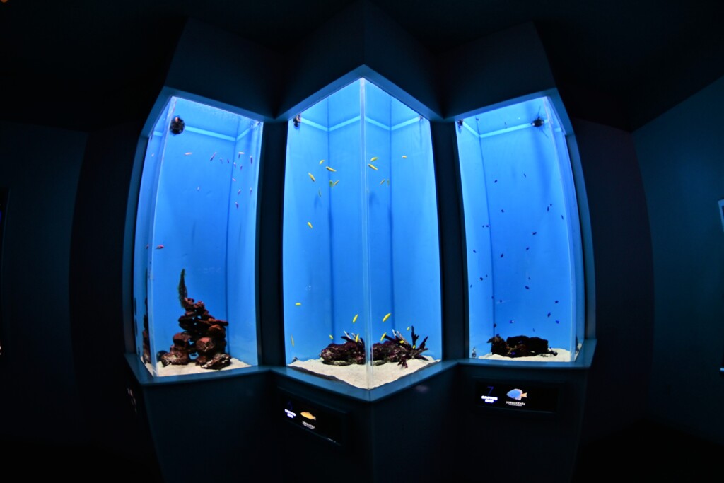 aquarium