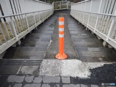 わたしって・・・綺麗？