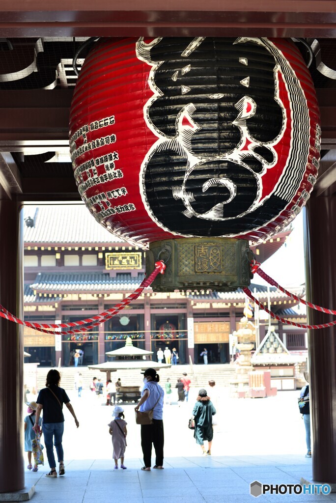 赤大提灯