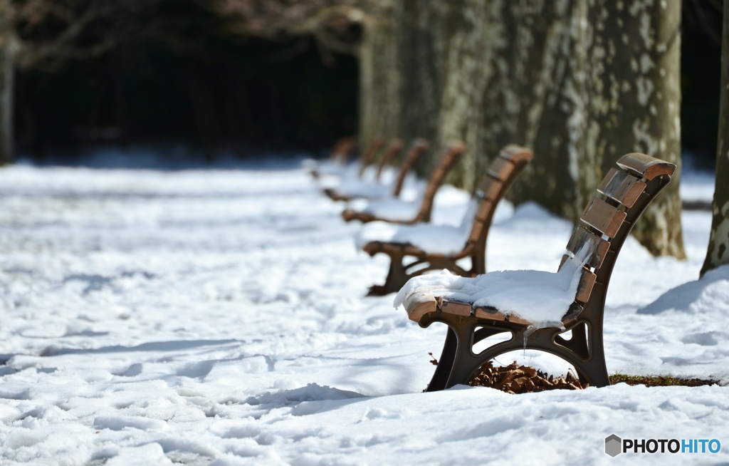 BENCH