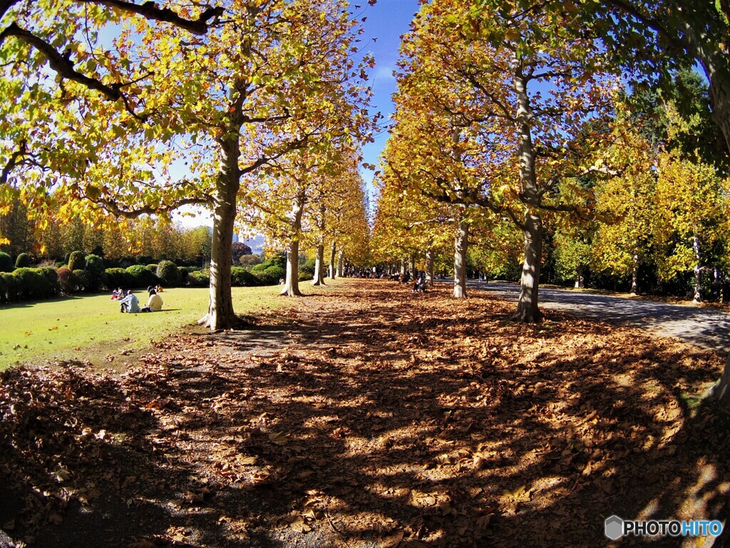 あきの公園