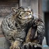 只今、ケア中~　