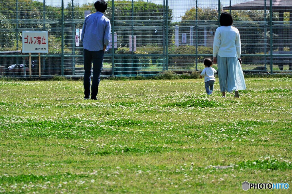みどり
