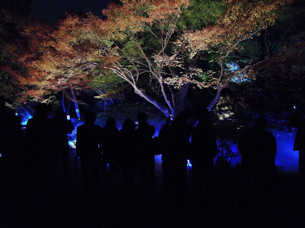淵の人々