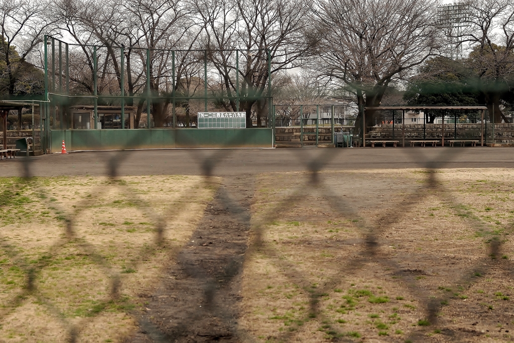 雨上がりの球場