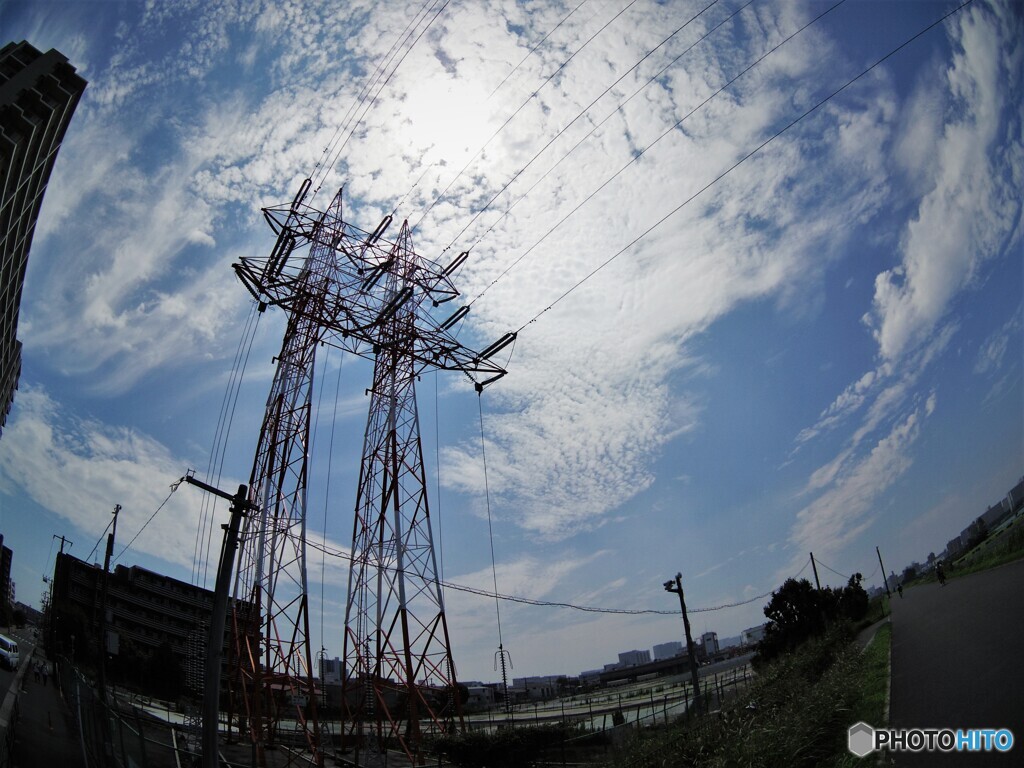 多摩川河川敷右岸散策・・・