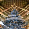 Xmasのseasonがやって来ました