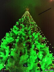 season in・・・ (3)