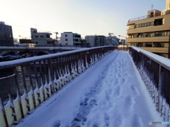ゆきぐにかわさき・・・その壱