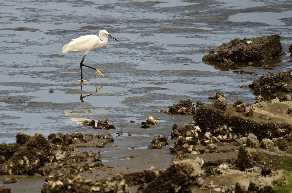 一級河川多摩川右岸敷
