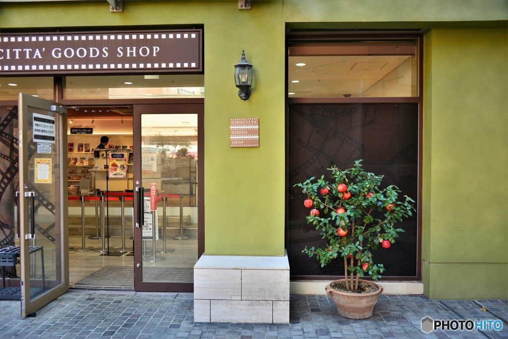 shop