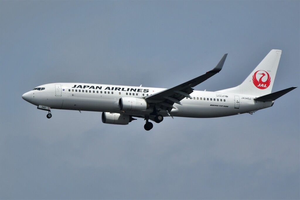 ボーイング737-800