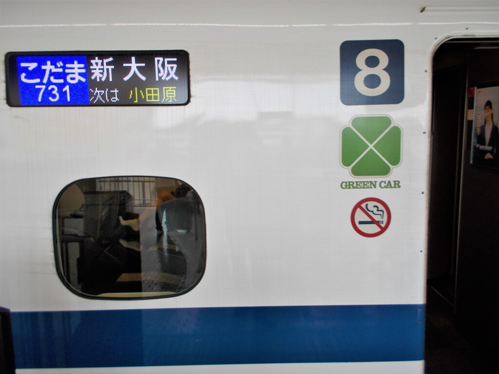 こだまのさきの・・・極楽シート