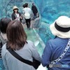 ペンギンドーム