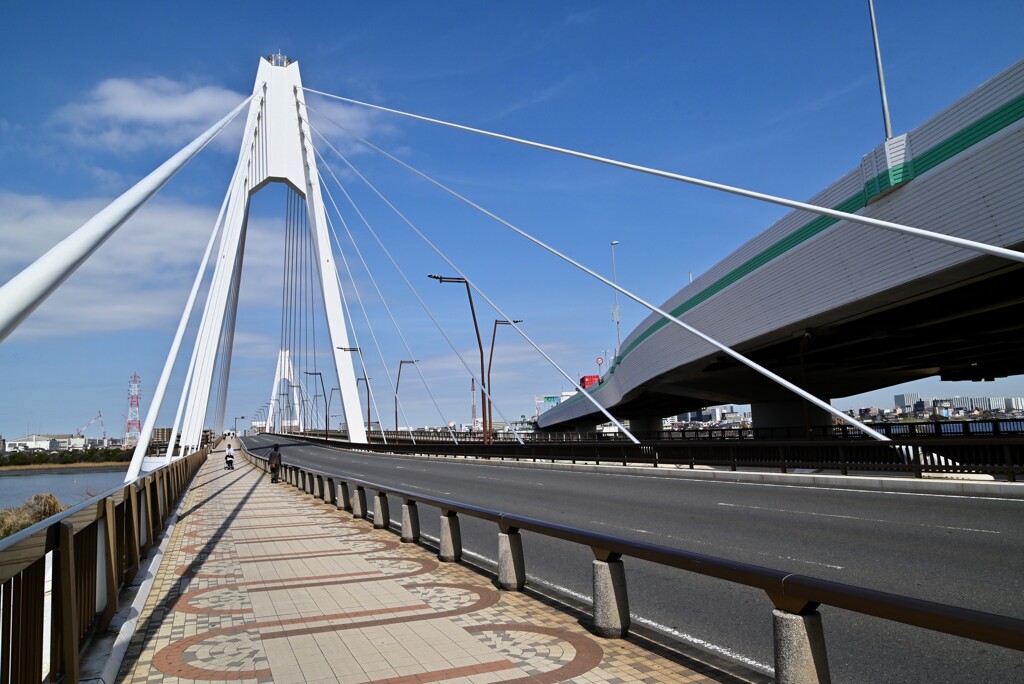 美・斜張橋