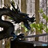 龍