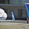 ランプハンドリング (3)