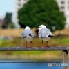 ねえ、うん？