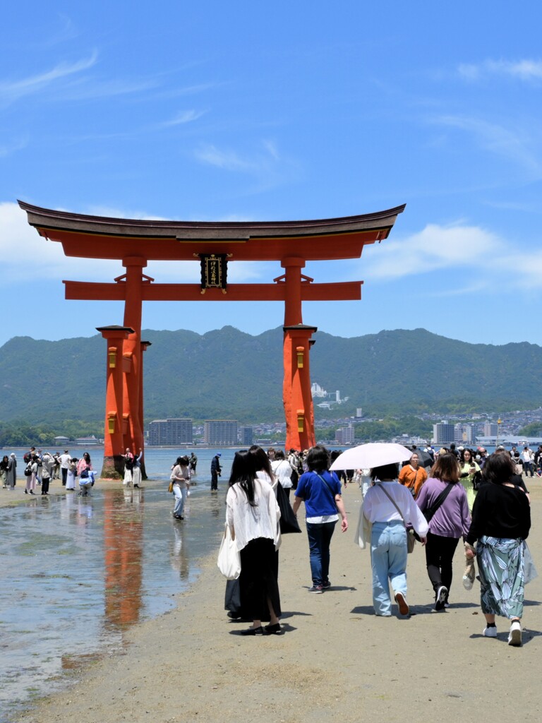 引き潮の鳥居・・・彼女たちと