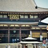 真夏の平間寺