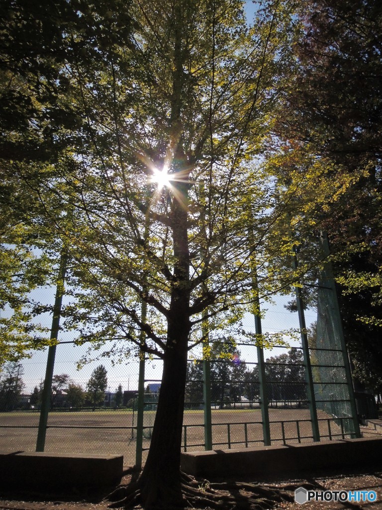 秋季大会・・・始まります＼(◎o◎)／！