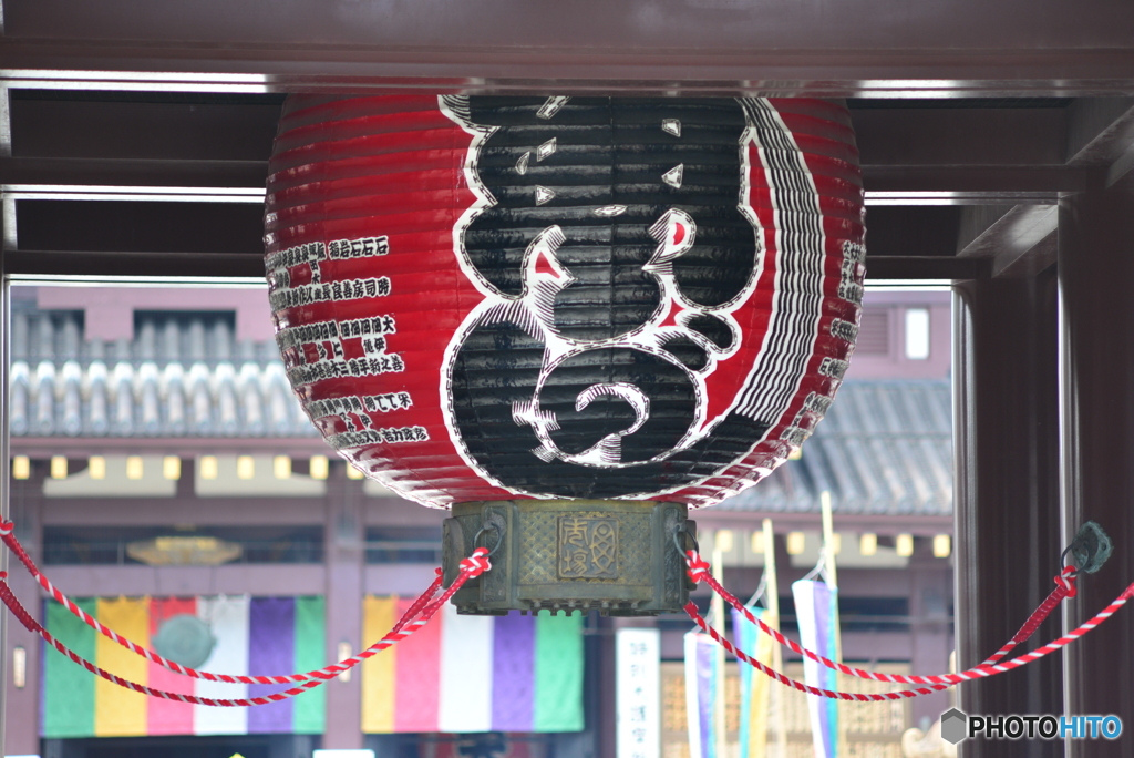 試写・・・赤大提灯