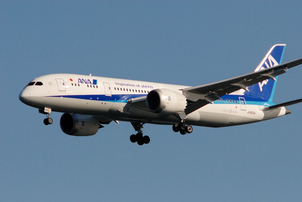 ANA787