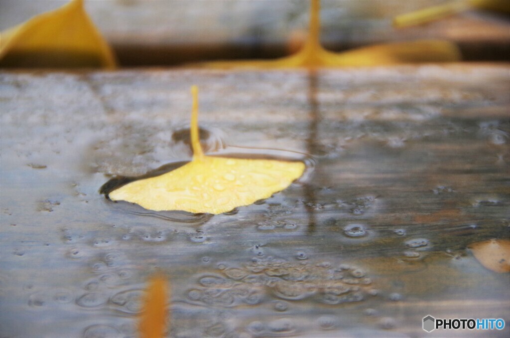 冷たい雨 (2)