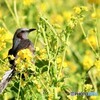 へぇ~　そうだったのか