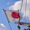 Rule of the flag raising