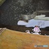 花びら