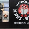 ネストビール