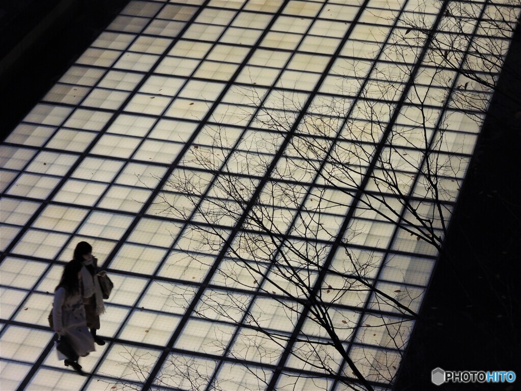 これから・・・帰路