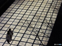 これから・・・帰路