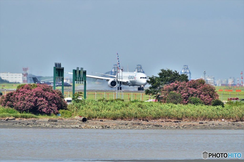 American Airlines　787