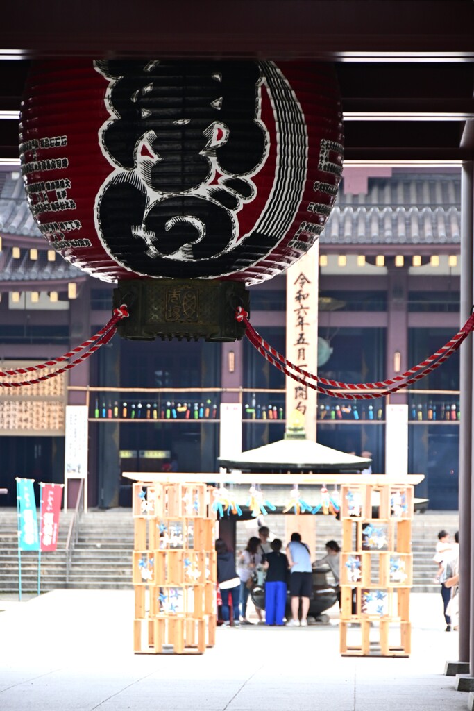 来週は・・・