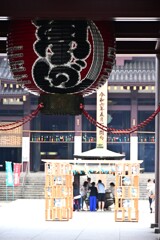 来週は・・・