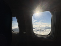 旭日を浴びて